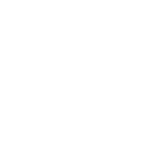 APNX logo